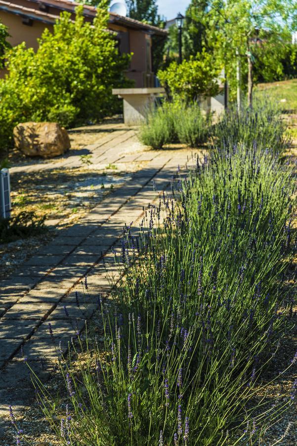 Agriturismo Poggio Di Maremma Pescia Romana Exterior foto